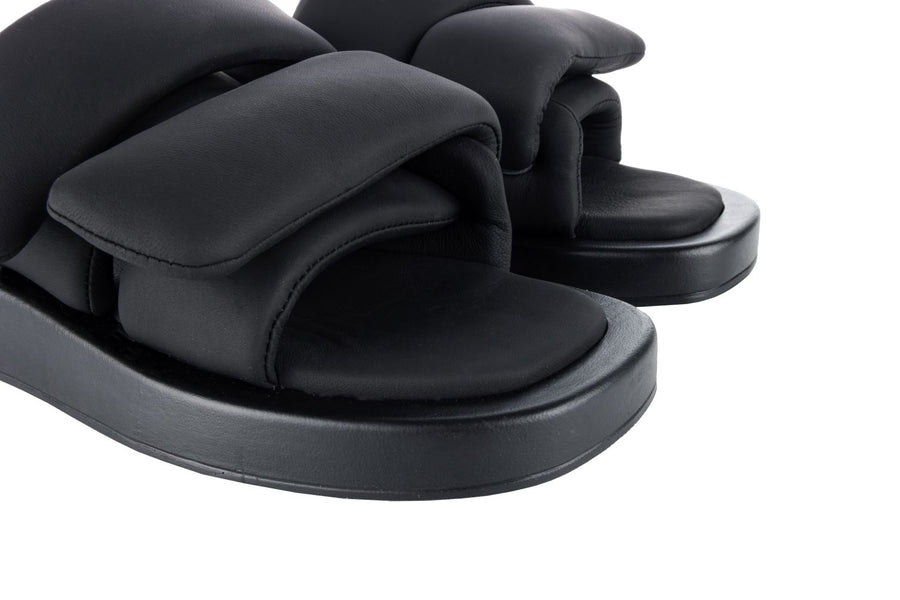 Victoria Mule